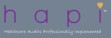 HAPI - Healthcare audits professionally implemented